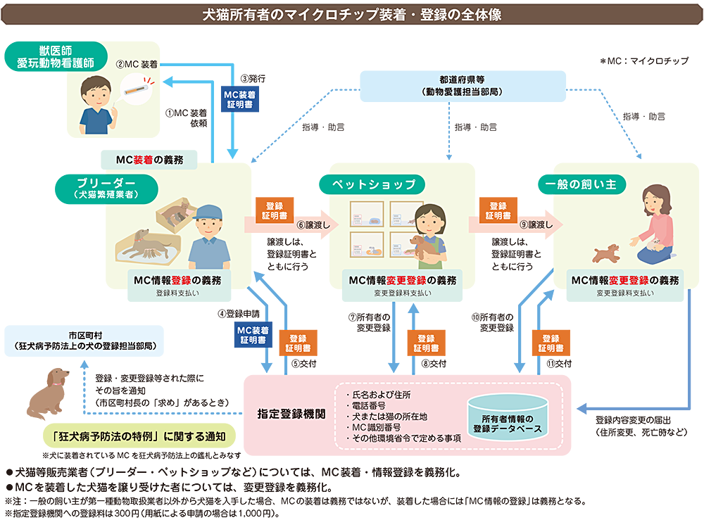 犬猫所有者のマイクロチップ装着・登録の全体像